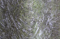 Little Aston fibreglass roof work